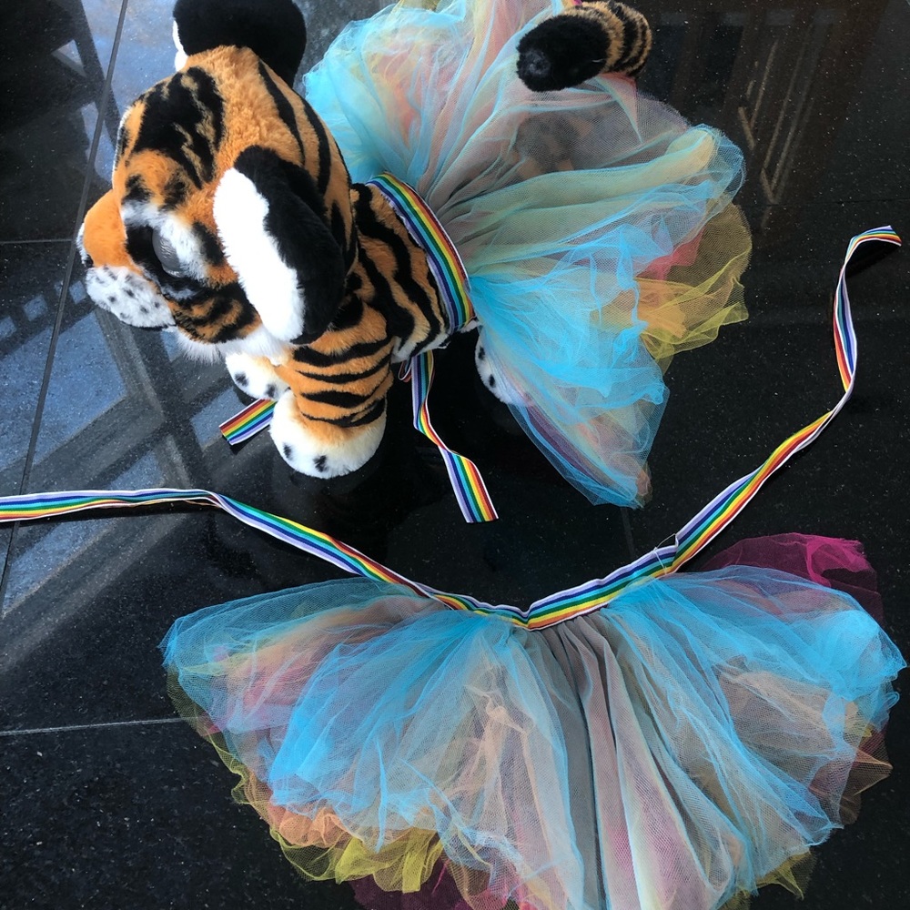 Doggie TuTu